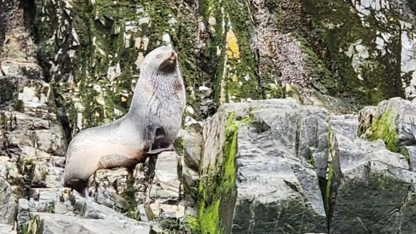 Related article image