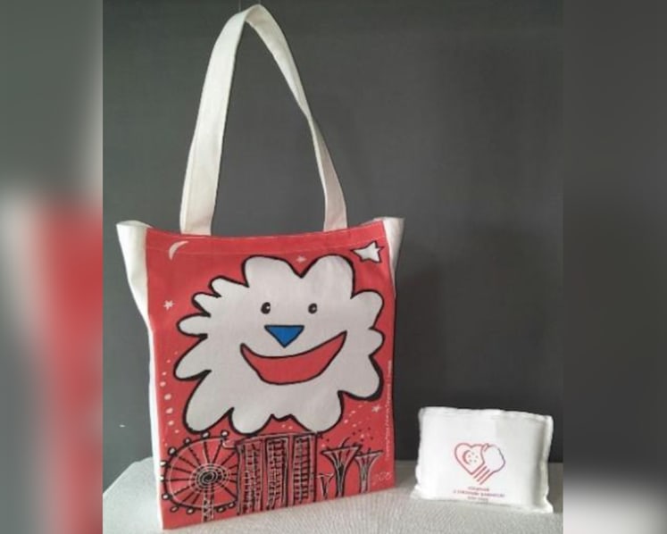 NDP 2020 packs to be collected from CCs, RCs; fewer produced but enough for 80% of households
