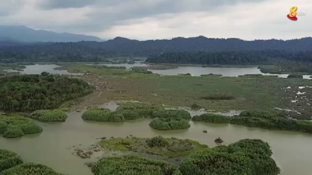 晨光|着眼天下：珍尼湖风采不再 马国造林修复生态