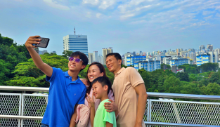 Urban Calm: Bukit Merah Explored