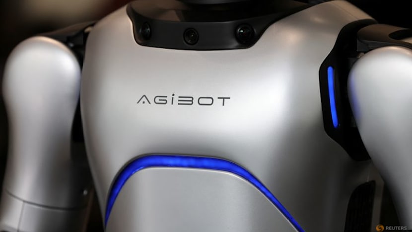 Chinese robot maker AgiBot starts Hong Kong IPO process, Securities Times reports