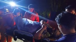 Related article image