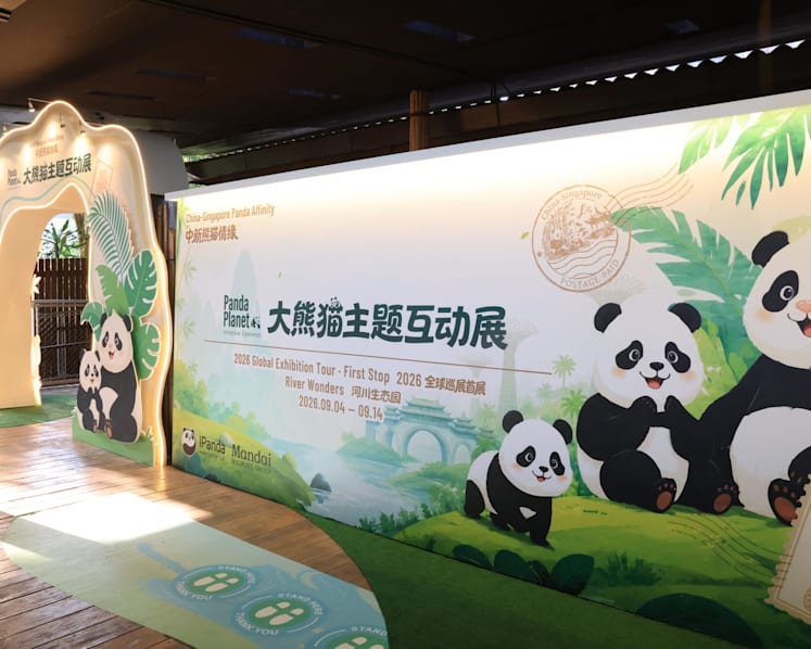River Wonders to host Panda Planet exhibition and celebrate Jia Jia and Kai Kai's birthdays this September