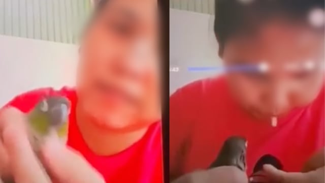 女子喂鸟吃口水等同虐待 鹦鹉协会发帖寻人