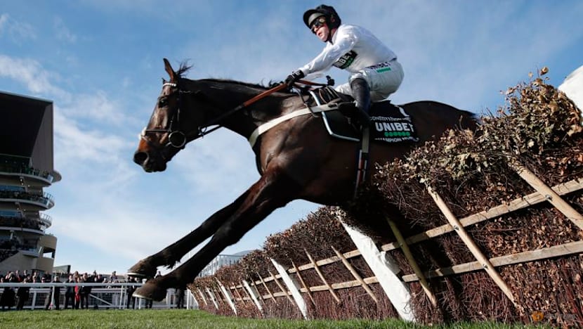 Horse racing-Constitution Hill will not run in Champion Hurdle, says trainer