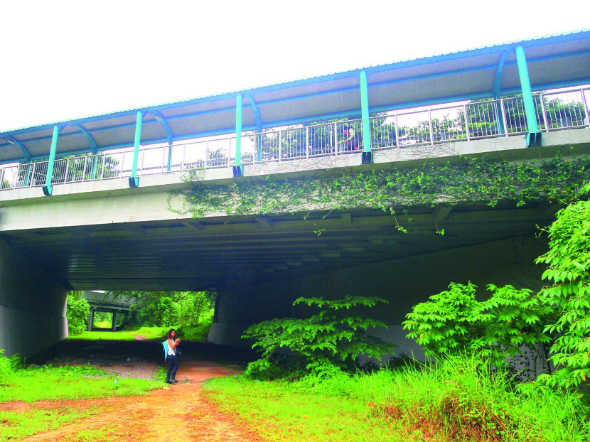 New space for street artists along Rail Corridor