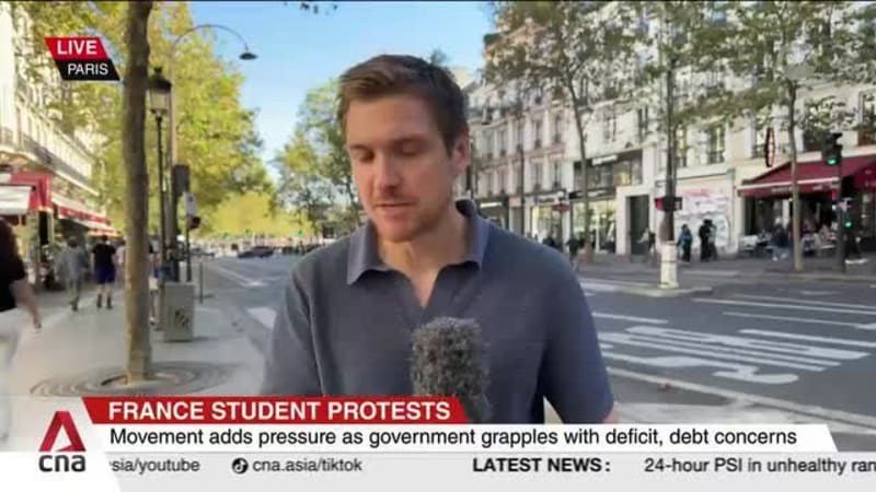 France student protests: 86,000 people demonstrate nationwide over lack of funding for education