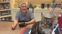 Related article image