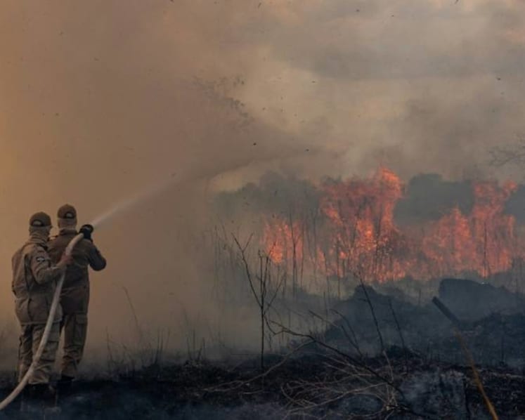 China is hungry for food. The Amazon is left counting the cost