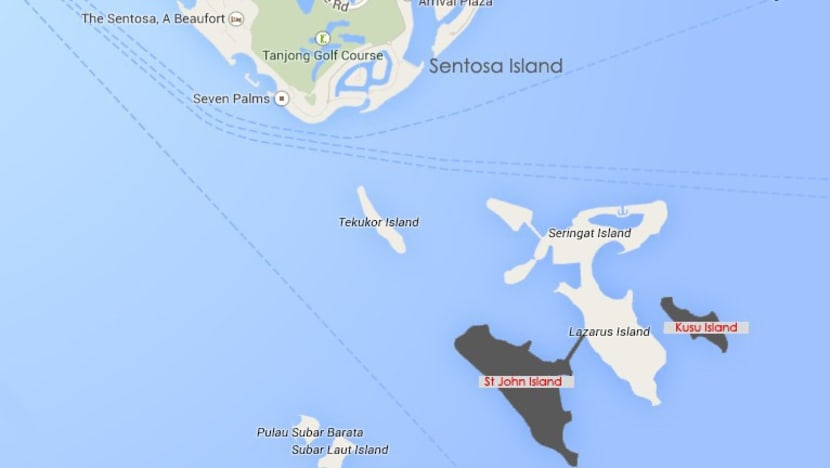 Harbour pilot from PSA Marine dies after falling into waters off Singapore's Kusu Island