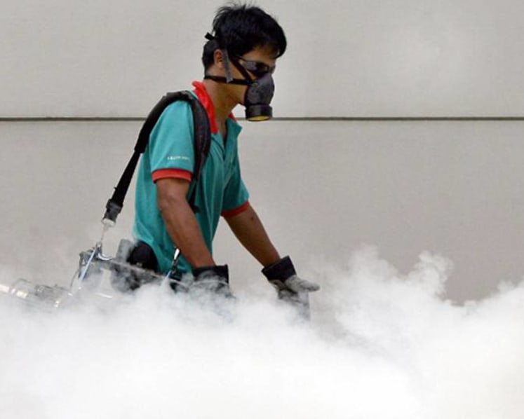Commentary: Why is there another dengue outbreak in Singapore despite all our efforts?