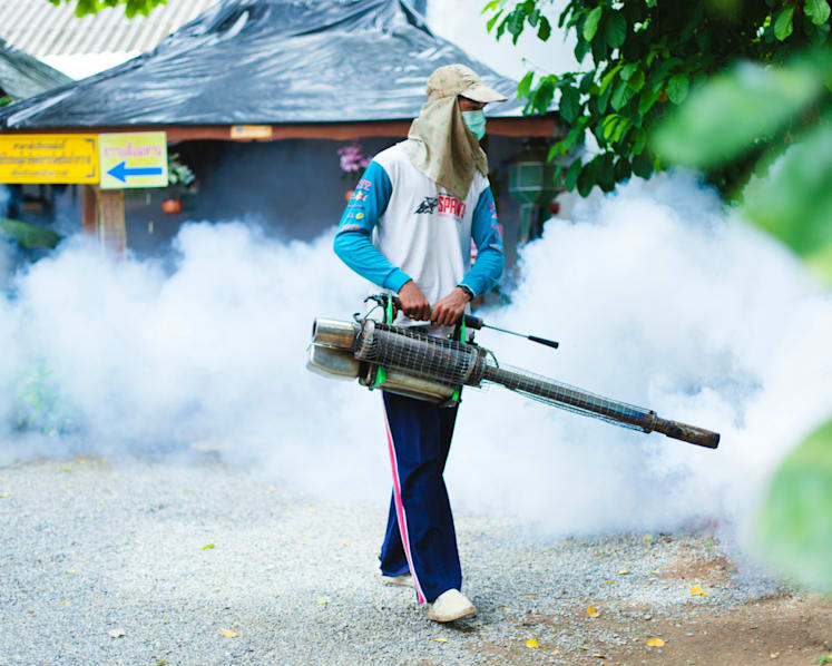 'We can defeat malaria': Chief of Asia-Pacific alliance on mosquito-borne disease