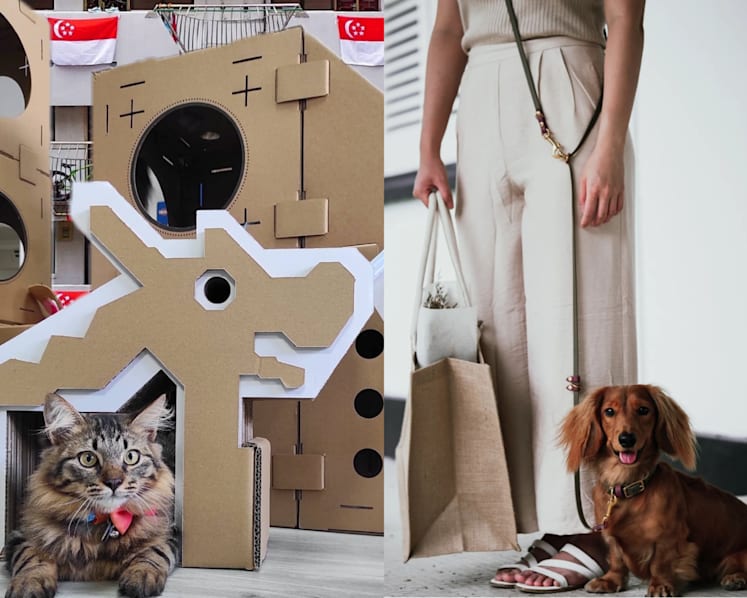 12 pet accessory stores from Singapore catering to the lifestyles of local pets (and their owners)