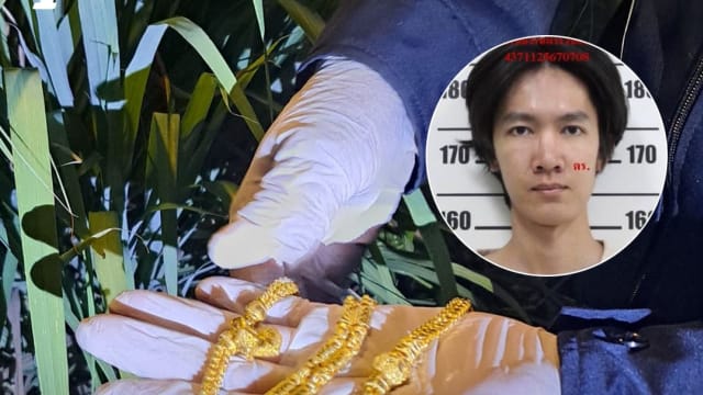 泰男子不堪债务策划犯罪  故意杀人劫车打抢金店