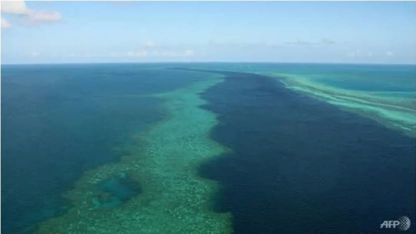Lelaki diserang jerung dekat Barrier Reef