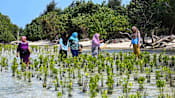Indonesia pari island story 25