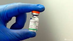 Related article image