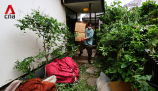 Japan's “death-tainted” homes gain appeal as property prices surge | Video