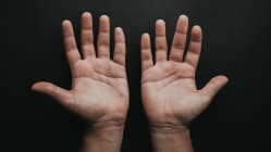 Related article image