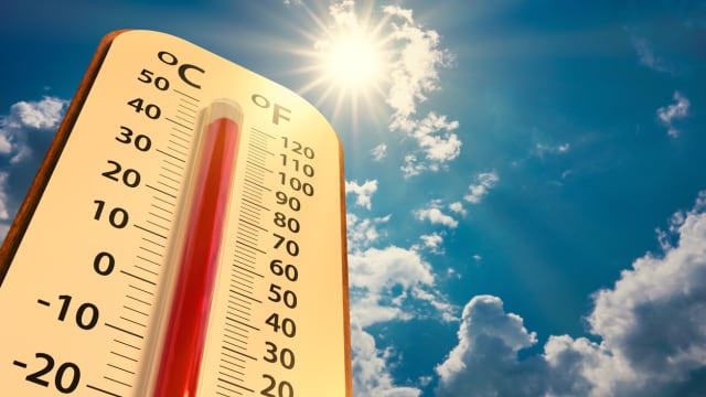 报告：过去12个月 全球平均增26天极端高温天气
