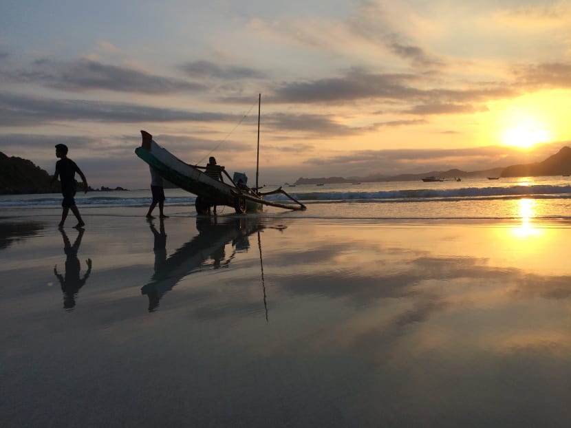 How one S’porean is caring for sharks by caring for fishermen