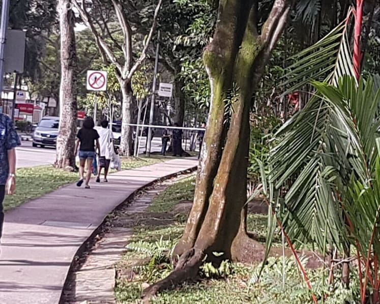 Police investigating after 28-year-old man found dead along Serangoon Avenue 4