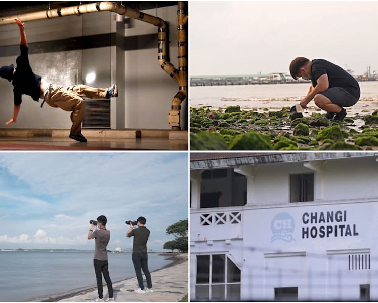 Up Your Alley: Changi - an iconic airport, plane spotters' paradise and intertidal walks to remember