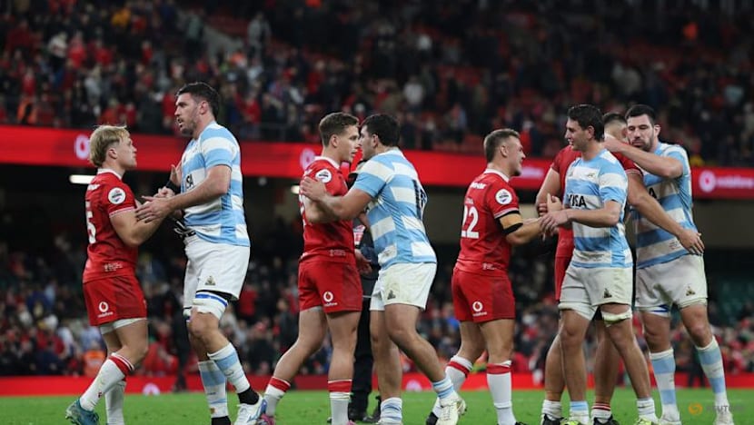 Argentina snuff out Welsh hopes of debut win for new coach