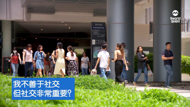 口试练习：我不善于社交但社交非常重要？