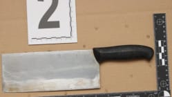 Related article image