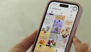 Pet food business Bossipaws under police probe over alleged SkillsFuture scam