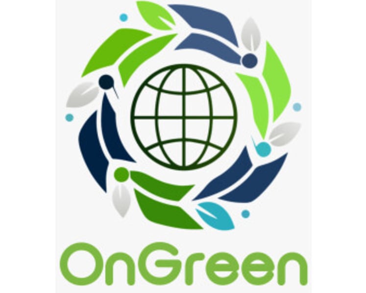 OnGreen Names BlueRock Capital Limited as Strategic Investor for the Launch of Oasis Journey in MENA Expansion