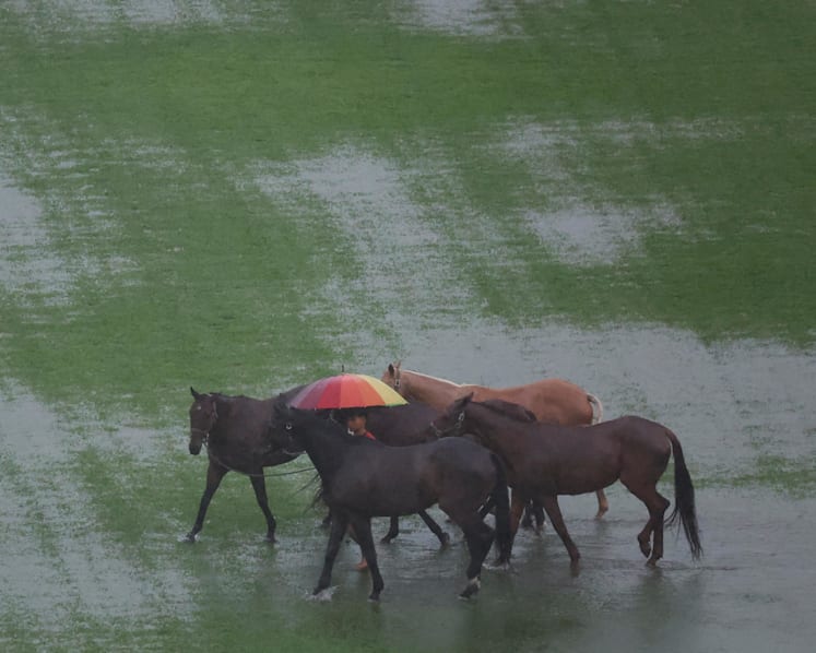 Malaysia floods affect 11,000 people across 7 states 