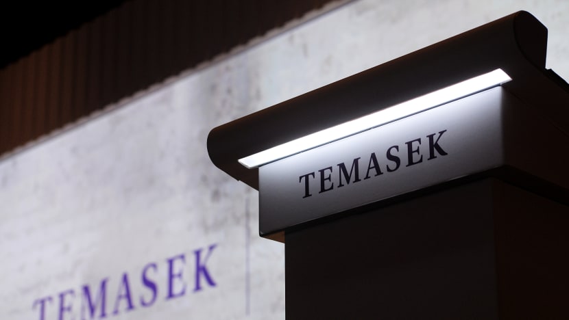 Temasek posts record net portfolio value of S$275 billion, delivers 13% return