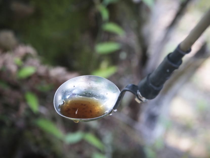 NEA personnel checking the water for mosquitoes in the Joo Seng Road area. A majority of residents take precautions, but some do so intermittently or overlook some spots, say MPs. Photo: Jason Quah/TODAY