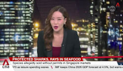 Protected marine wildlife still being sold illegally in Singapore	