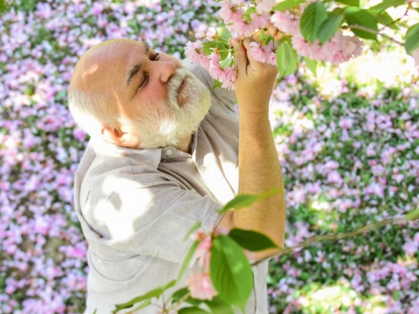 Our sense of smell is deeply entwined with our memory, and recent research shows it is possible to actually improve memory and cognition by exercising our sense of smell, in nature and elsewhere.