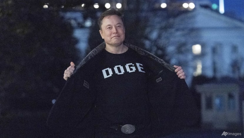Musk admits DOGE cost-cutting drive falls short