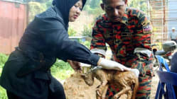 Related article image