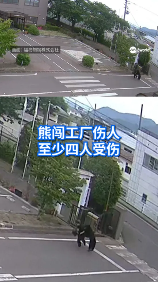 20260603_Japan_bear_attack