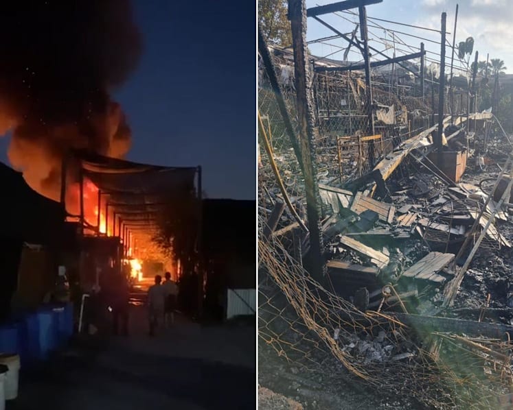 Fire wipes out part of Terrascapes plant nursery in Chua Chu Kang, caged birds die