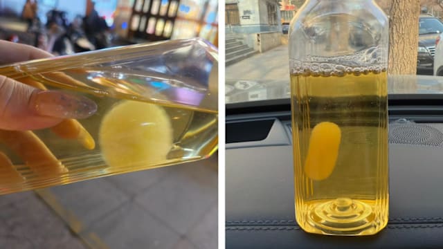 茶叶饮料开瓶搁置 中国年轻人培育茶菌当宠物