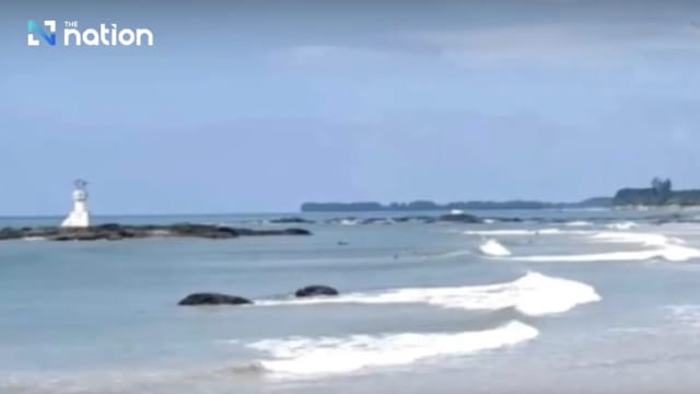 泰国海滩游泳 德国游客被大鱼咬出巨大伤口