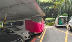 அப்பர் புக்கிட் தீமா ரட்சண்ய சேனை வளாகத்தில் நாசவேலை - ஆஸ்திரேலியப் பெண்ணுக்குச் சிறை