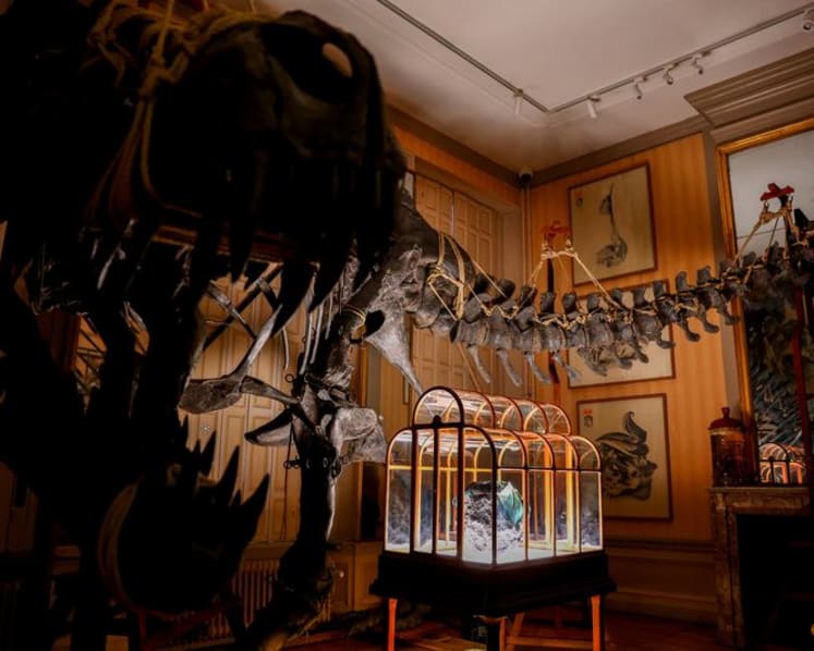 Dinosaur collagen used to create one-of-a-kind handbag