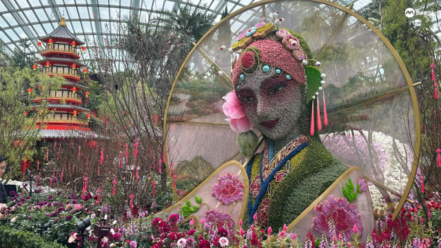 逾2.3万株花草打造白娘子立体花艺 滨海湾花园新春花展登场