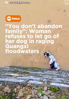 Not every hero wears a cape. ❤️ #8dayssgtrending  #8dayssg #FloodRescue #heartwarming #DogLover 