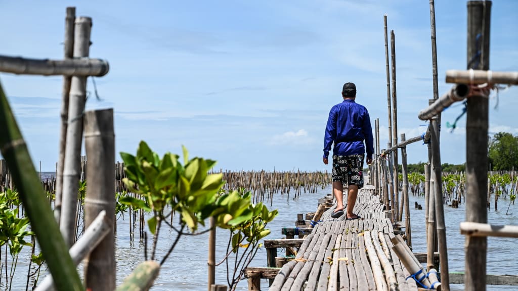 IN FOCUS: Water, water everywhere – why Southeast Asia’s overbuilt capitals need new ways to survive IN FOCUS: Water, water everywhere – why Southeast Asia’s overbuilt capitals need new ways to survive