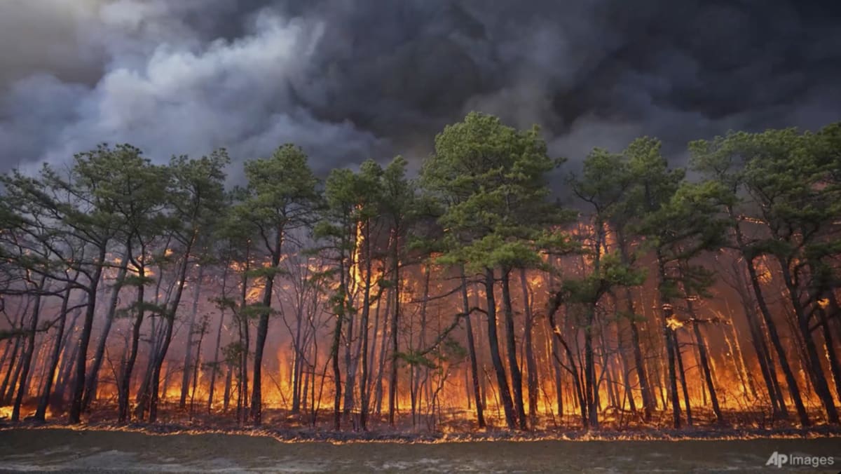New Jersey wildfire could become state's largest in nearly 20 years