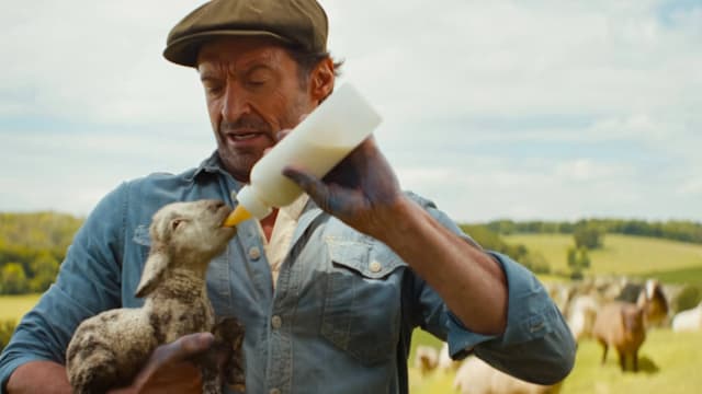 新片上映：The Sheep Detectives